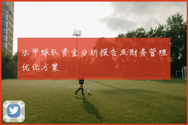 法甲球队资金分析报告及财务管理优化方案